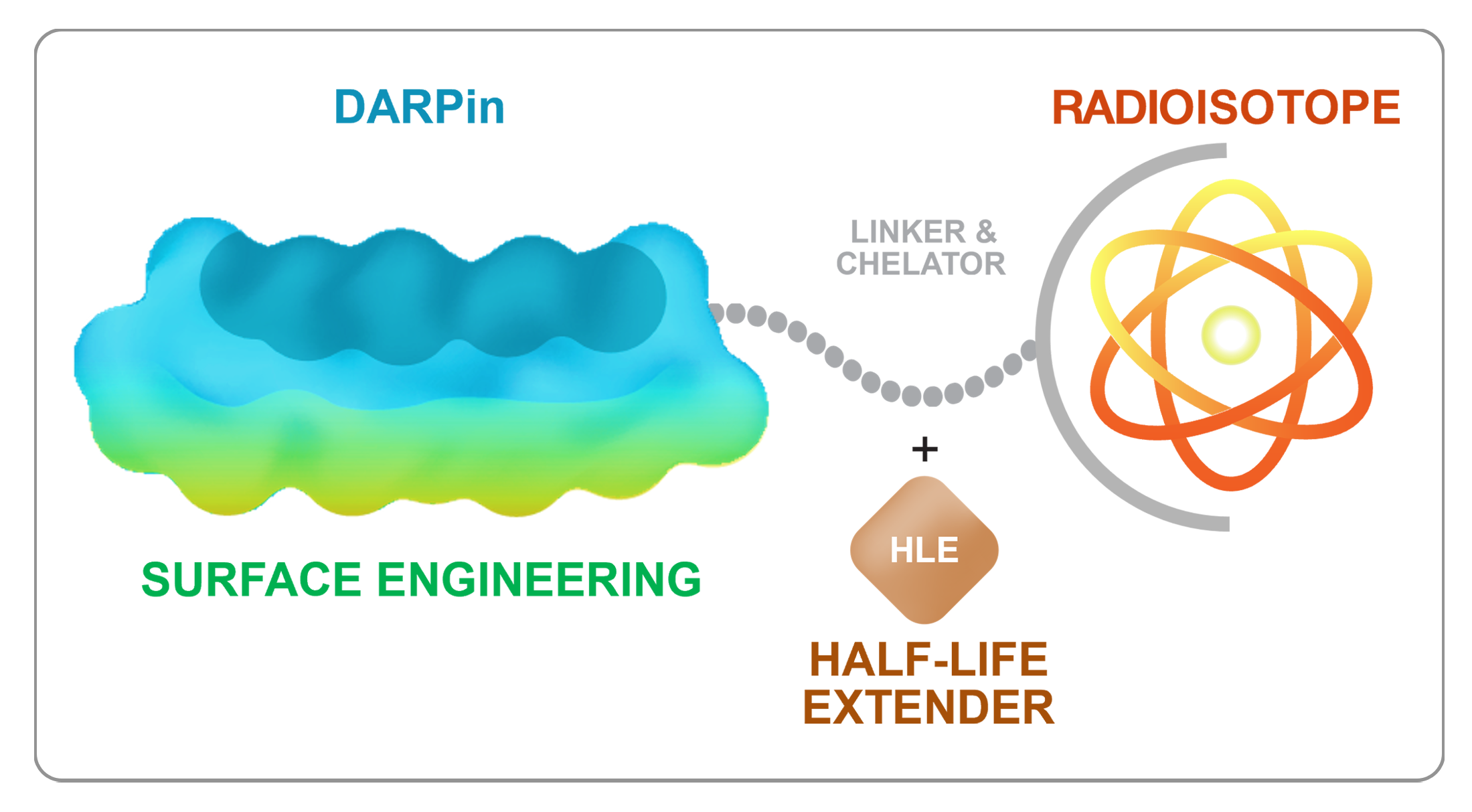Radio-DARPin therapeutics for effective and selective delivery of radioactive payloads to solid tumors