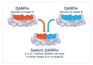  Switch-DARPins as a novel “logic-gated” approach for multi-specific DARPin therapeutics