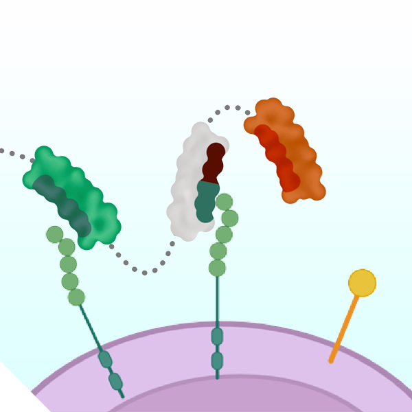 Logic-gated Switch DARPins
